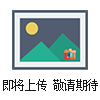 ORBLGBL一體化孔板流量計